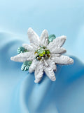 edelweiss alpine flower with white petals and green accents on a blue background