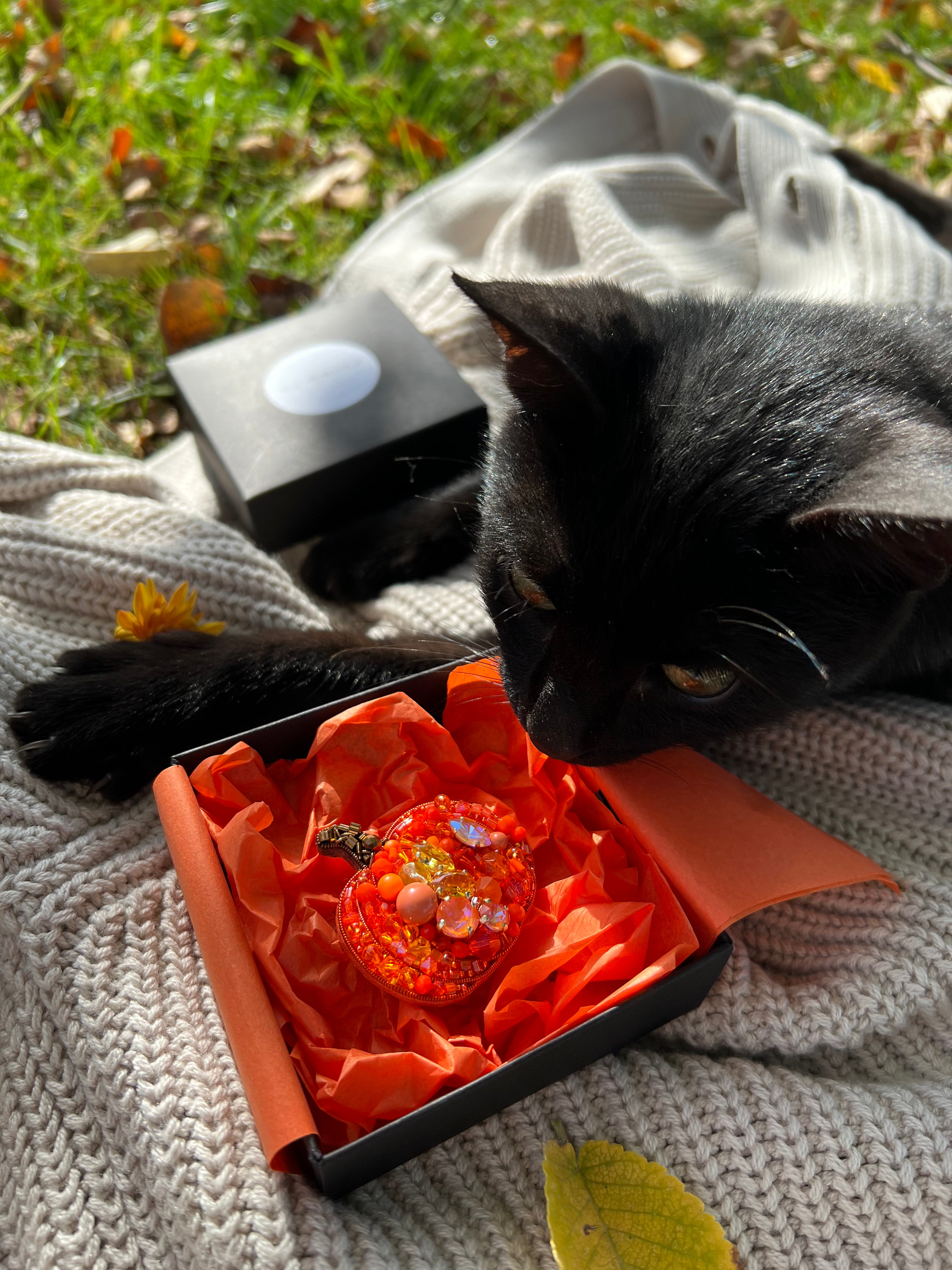 Black cat interacting with an orange pumpkin brooch on a blanket outdoors.